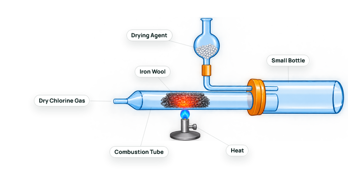 Interactive diagram showing the reaction of iron with chlorine gas, including labelled apparatus such as dry chlorine gas, iron wool, combustion tube, heat source, small bottle, and drying agent.